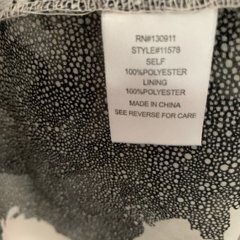 Daniel Rainn Sheer Blouse - Picture 7 of 9